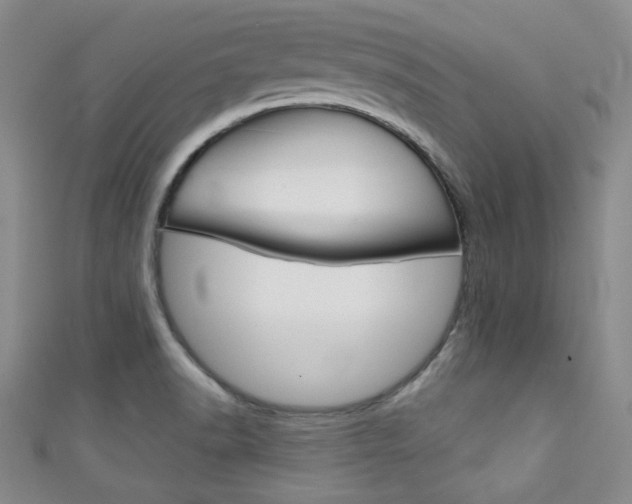 X0000111421518200907131009