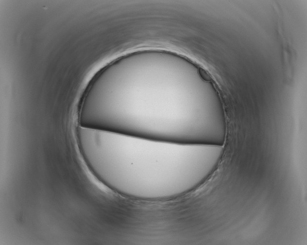 X0000111421519200907131009