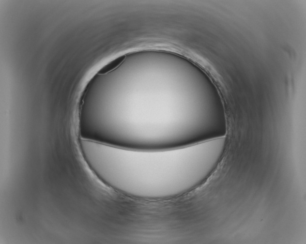X0000111421520200907131009