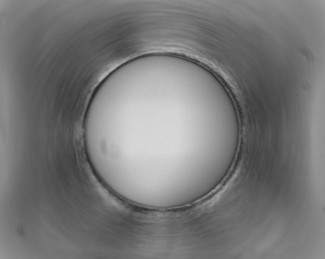 X0000111421521200907131009