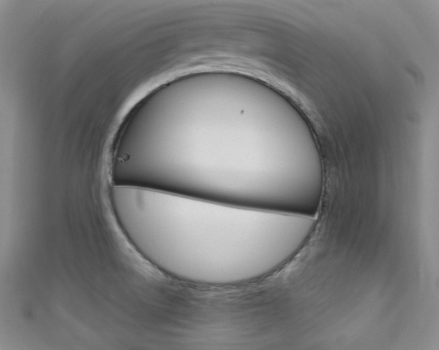 X0000111421522200907131009
