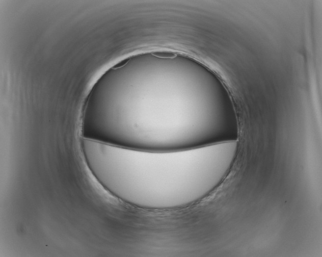 X0000111421524200907131009