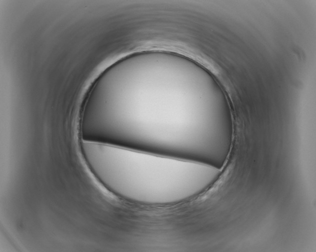 X0000111421525200907131009