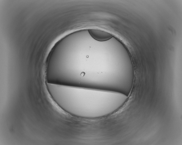 X0000111421526200907131009