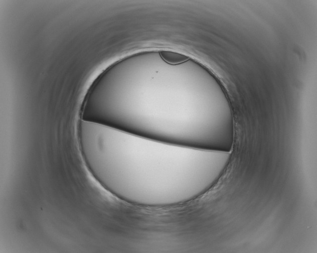 X0000111421527200907131009