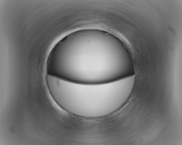 X0000111421528200907131009