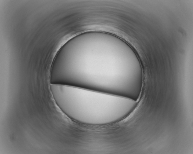 X0000111421529200907131009