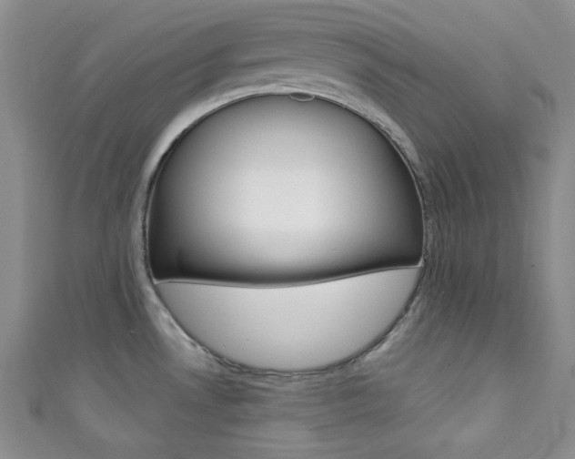 X0000111421530200907131009
