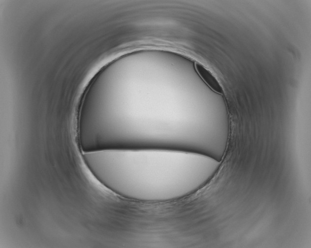 X0000111421531200907131009