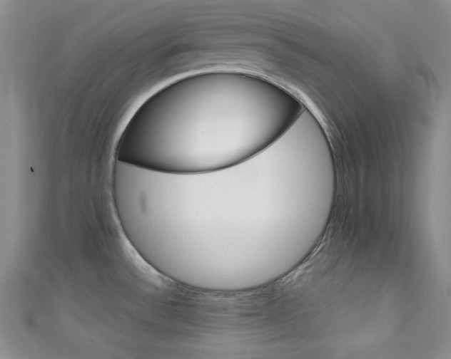 X0000111421532200907131009