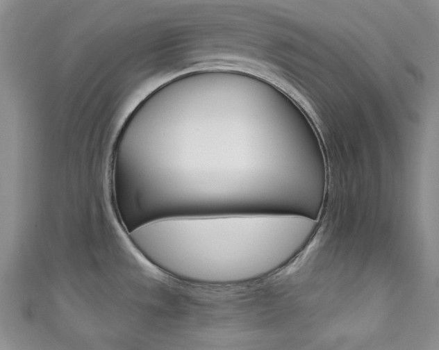 X0000111421533200907131009