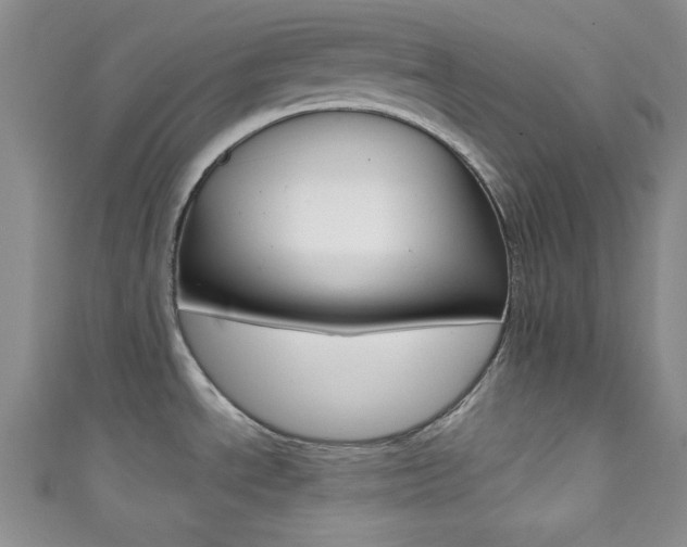 X0000111421534200907131009