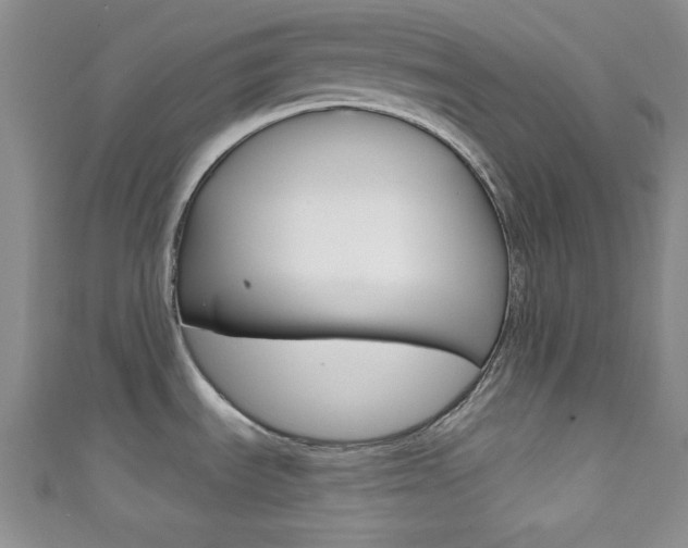 X0000111421535200907131009