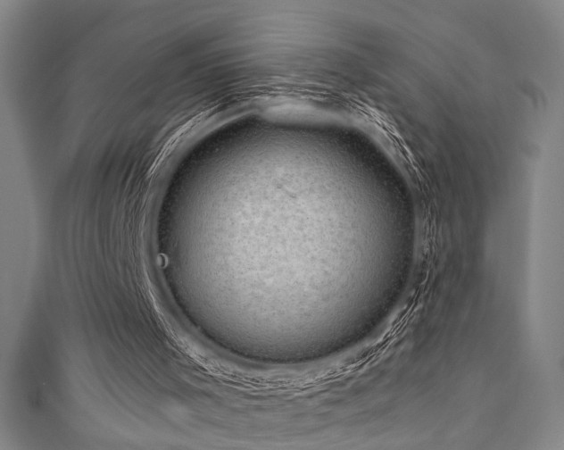 X0000111420001200907131212