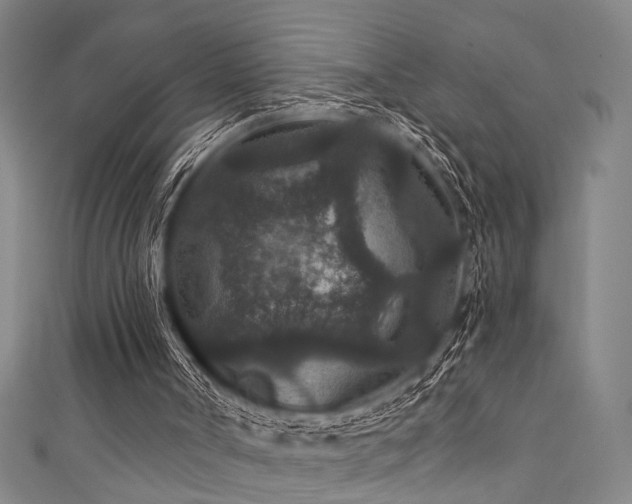 X0000111420002200907131212