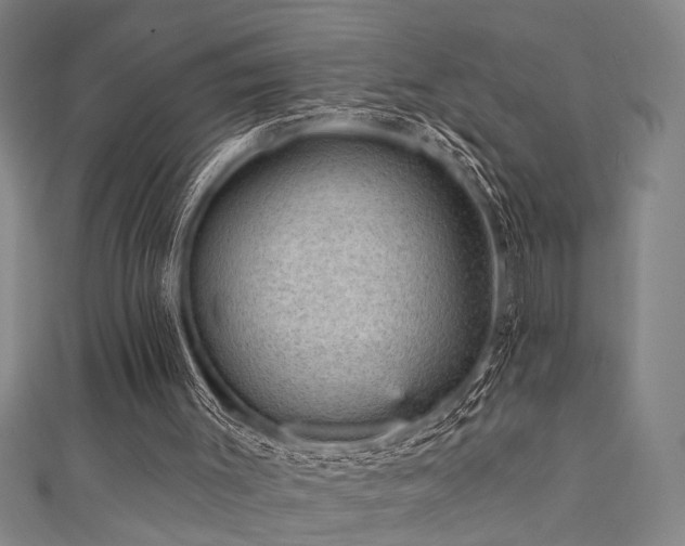 X0000111420003200907131212