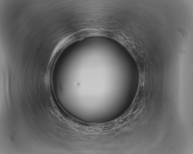 X0000111420004200907131212