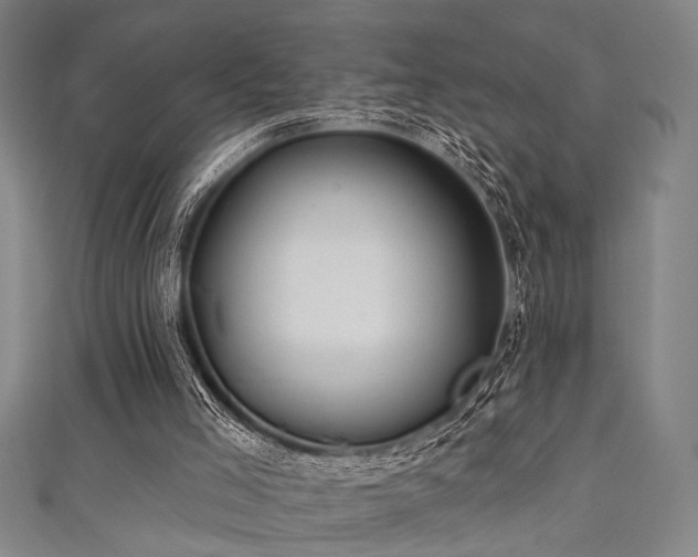 X0000111420005200907131212