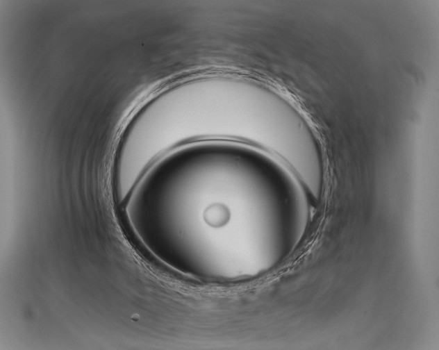 X0000111420007200907131212