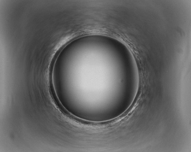 X0000111420008200907131212