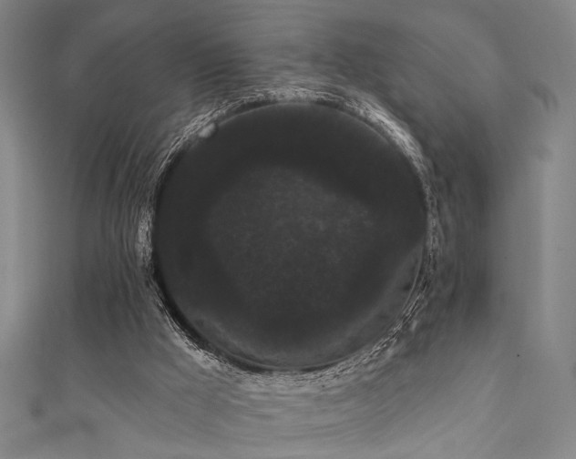 X0000111420009200907131212