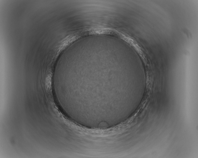 X0000111420010200907131212