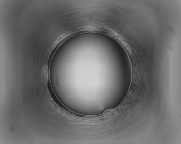 X0000111420011200907131212