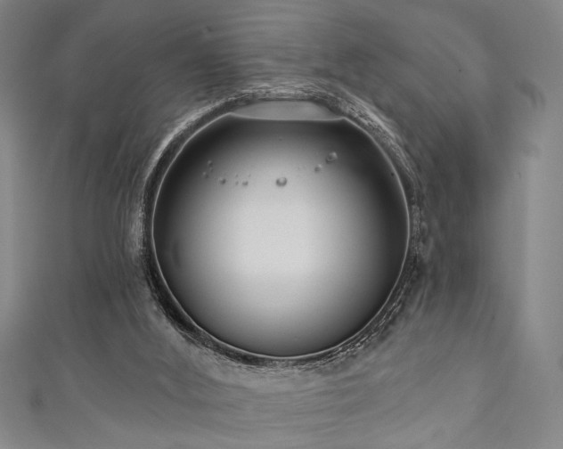 X0000111420012200907131212