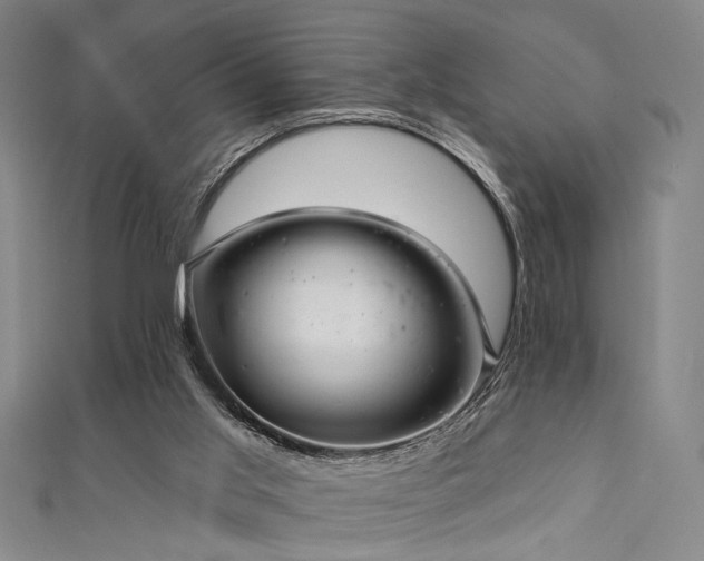 X0000111420013200907131212