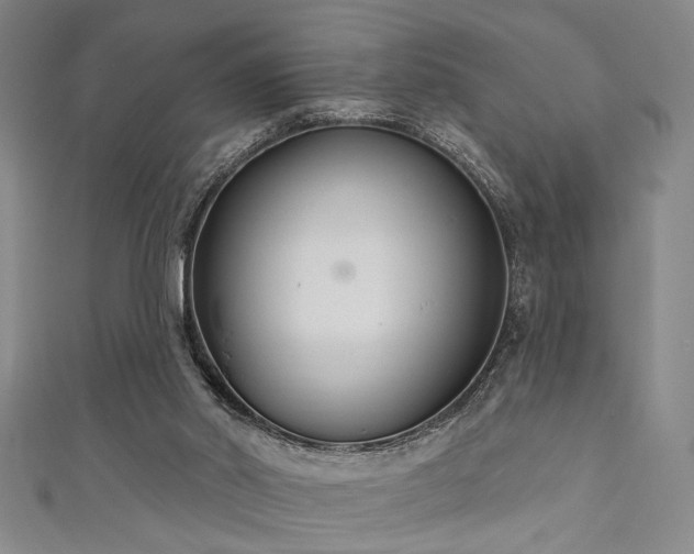 X0000111420014200907131211