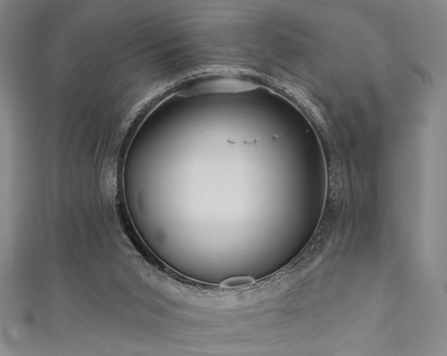 X0000111420015200907131211