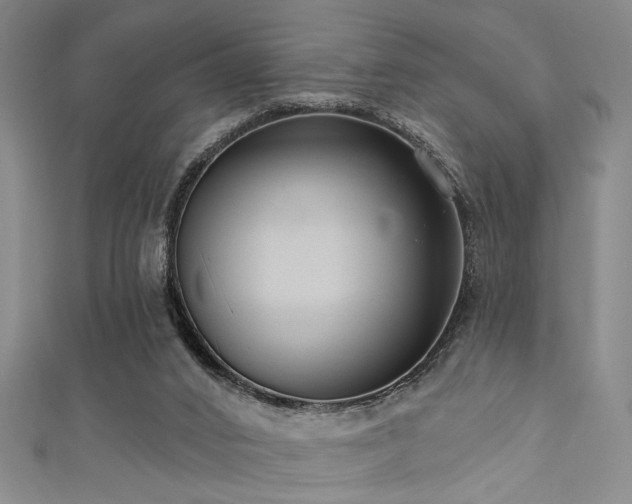 X0000111420016200907131211