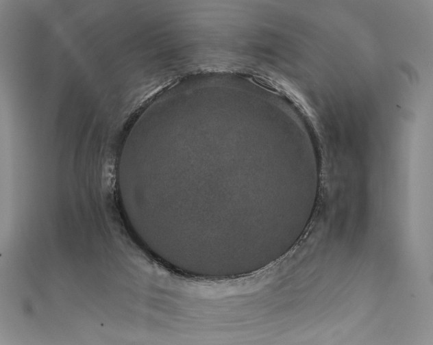 X0000111420017200907131211