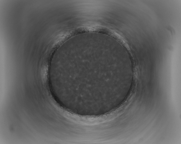 X0000111420018200907131211