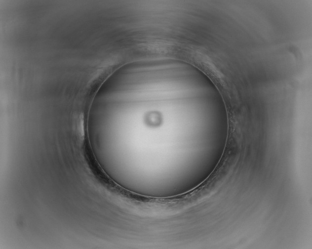 X0000111420020200907131211