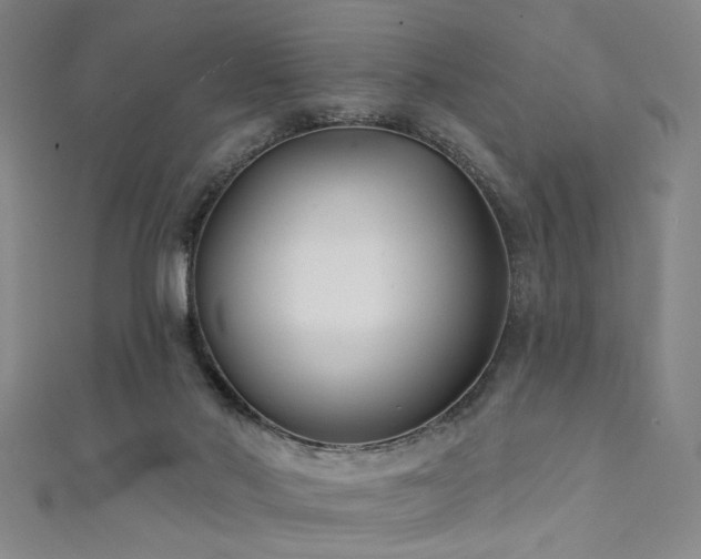 X0000111420022200907131211