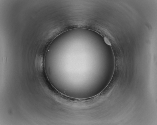 X0000111420024200907131211