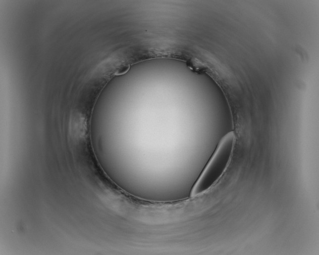 X0000111420025200907131211