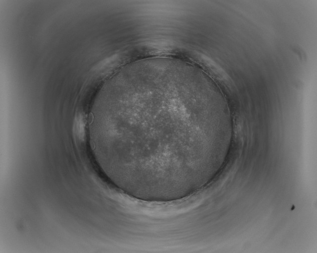 X0000111420026200907131211