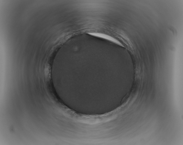 X0000111420029200907131211