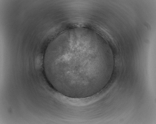 X0000111420030200907131211