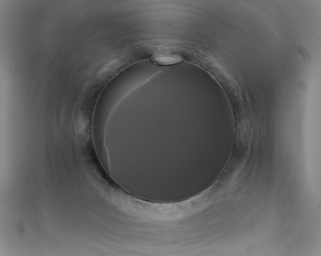 X0000111420031200907131211