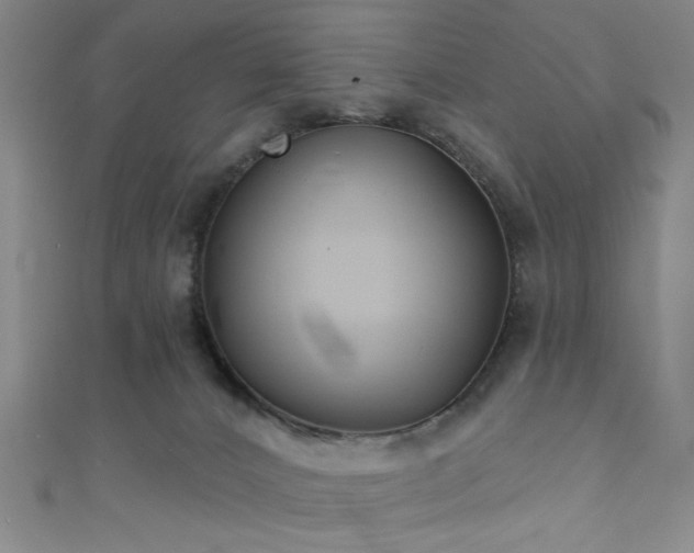 X0000111420032200907131211