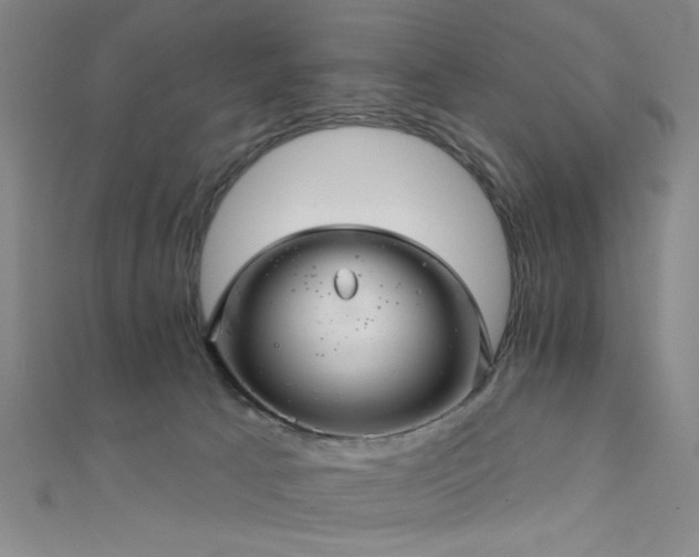 X0000111420033200907131211