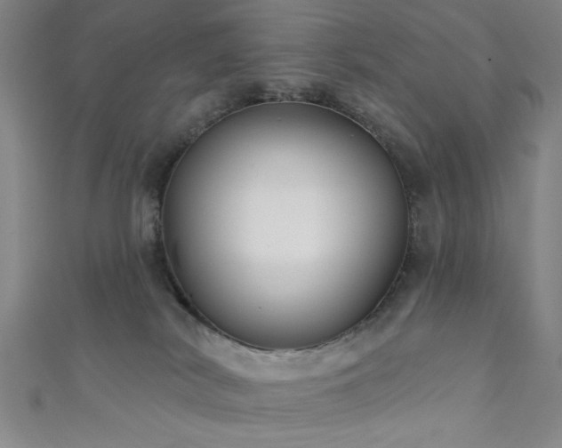 X0000111420038200907131211