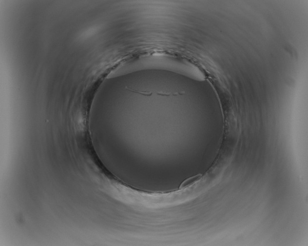 X0000111420039200907131211