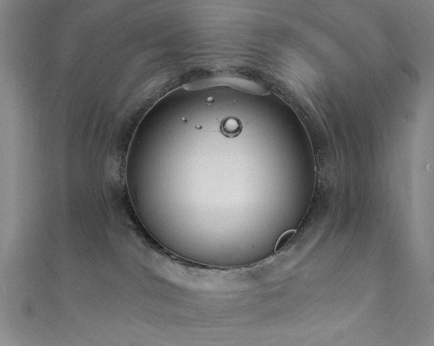 X0000111420044200907131211