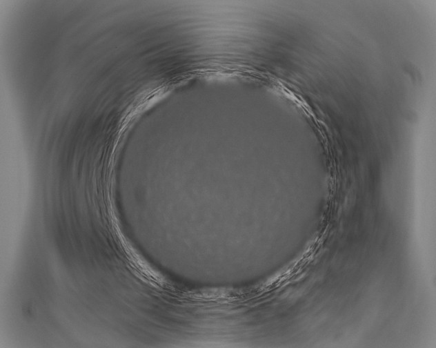 X0000111420049200907131210