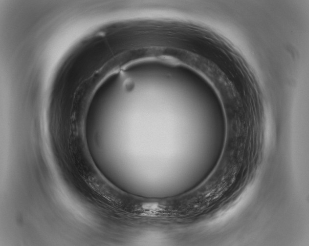 X0000111420050200907131210