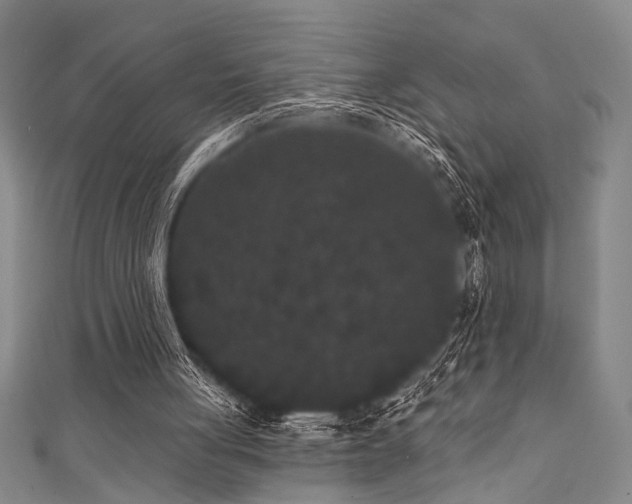 X0000111420051200907131210